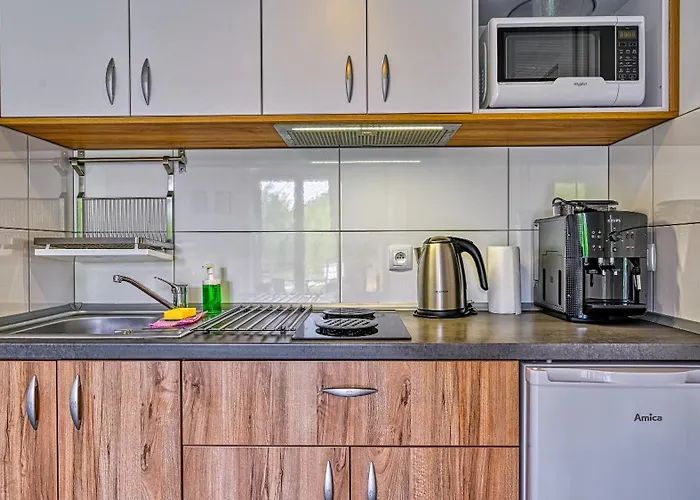 Pod Brzozami - 5d * Świeradów-Zdrój